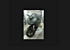 2012 Ducati Superbike 848 for sale 200591340
